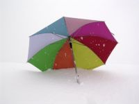 parasol parasol