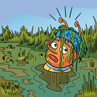 Kofenek poznaje planetę Ziemię - Ilustracja do odcinka 183: Kłoda – Bagna Everglades