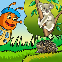 Kofenek poznaje planetę Ziemię - Ilustracja do odcinka 13: Opowieści – Koala 