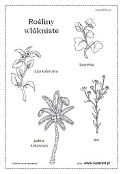 kolorowanka - rośliny włókniste