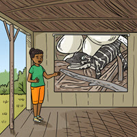 Kofenek poznaje planetę Ziemię - Ilustracja do odcinka 186: Macierzyńska troska – Aligator na farmie w Everglades, slajd