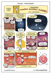 edukacja seksualna - komiks dla dzieci - zapłodnienie - arkusze do wydruku - biologia