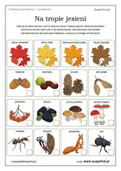 edukacja przyrodnicza - las jesienią - karta obserwacji przyrody