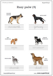 Elementarz - Pisanie wyrazów po śladzie - Arkusze tematyczne - Rasy psów