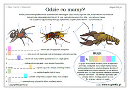biologia kl. 6 - zwierzęta bezkręgowe - budowa ciała pajęczaków, owadów i skorupiaków