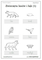 Pisanie wyrazów po śladzie - Arkusze tematyczne - Zwierzęta lasów i  łąk