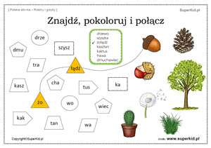 polski jako obcy słówka - rośliny i grzyby - ułóż nazwy roślin z rozsypanych sylab i połącz je z obrazkami