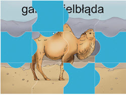 puzzle elementarzowe garby wielbłąda