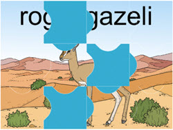 puzzle elementarzowe rogi gazeli