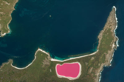 różowe jeziora-jezioro Hillier