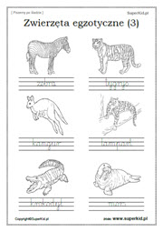 Pisanie wyrazów po śladzie - Arkusze tematyczne - Zwierzęta egzotyczne