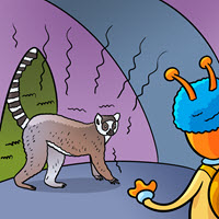 Kofenek poznaje planetę Ziemię - Ilustracja do odcinka 104: Madagaskar – Lemur