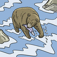 Kofenek poznaje planetę Ziemię - Ilustracja do odcinka 111: Wioska – Niedźwiedzica w strumieniu