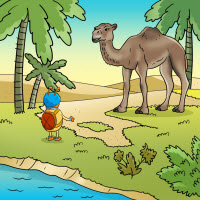 Kofenek poznaje planetę Ziemię - Ilustracja do odcinka 75: Ali – Wielbłąd na pustyni