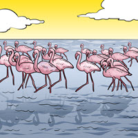 Kofenek poznaje planetę Ziemię - Ilustracja do odcinka 95: Przy wodopoju – Stado flamingów