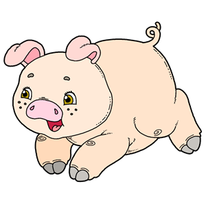 zwierzę miesiąca - świnia