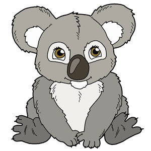 zwierzę miesiąca - koala