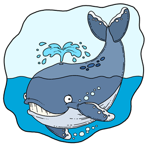 zwierzę miesiąca - wieloryb