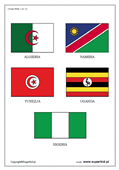 flagi państw Afryki