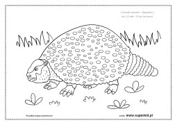 kolorowanka - glyptodon