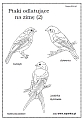kolorowanki - Ptaki odlatujące na zimę (2)