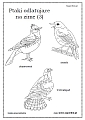 kolorowanki - Ptaki odlatujące na zimę (3)
