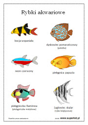 rybki akwariowe