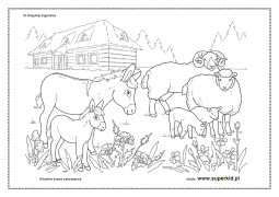 kolorowanka - osły, owce