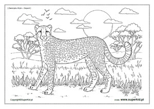 kolorowanka - Zwierzęta Afryki