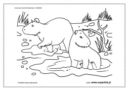kolorowanki - zwierzęta - kapibara