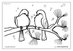 kolorowanki zwierzęta zimą - ptaszki