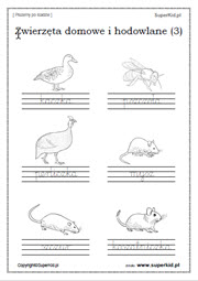 Pisanie wyrazów po śladzie - Arkusze tematyczne - Zwierzęta domowe i hodowlane